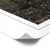 Magisch hout poster (Hoek)