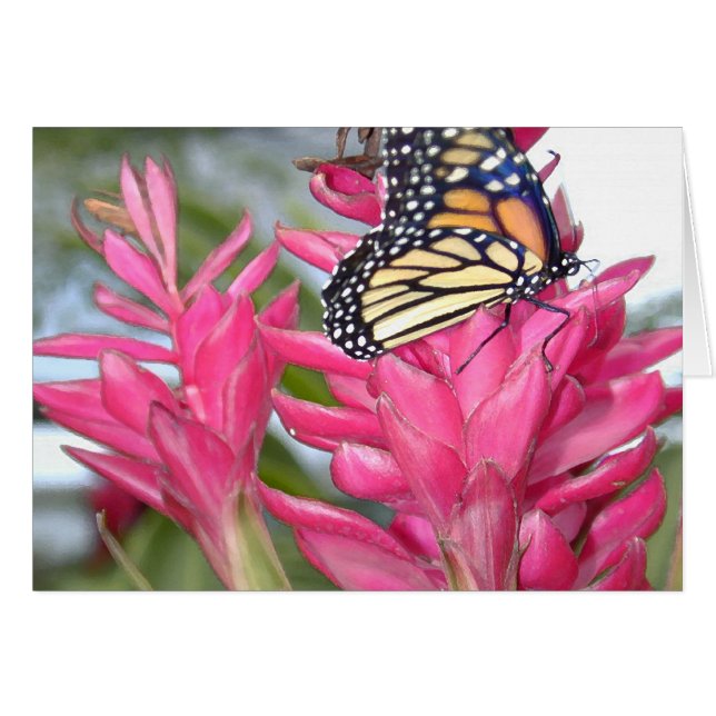 Magisch Monarch (Voorkant Horizontaal)