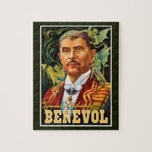 Magisch Poster, professor Benevol Legpuzzel
