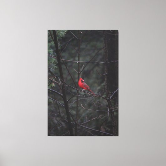 Magisch Rood Canvas Afdruk (Voorkant)