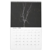Magische bomen landschap fotokalender kalender (Jan 2026)