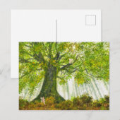 Magische boom Fantasy Fairy Forest Briefkaart (Voorkant / Achterkant)