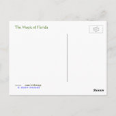 Magische Florida. Briefkaart (Achterkant)