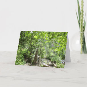Magische Green Forest Scene. Kaart