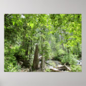 Magische Green Forest Scene. Poster (Voorkant)