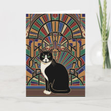 Magische Kat