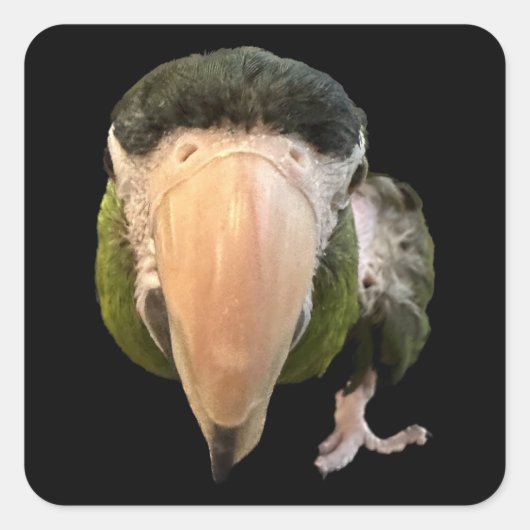 magische mikey super stickers (Voorkant)