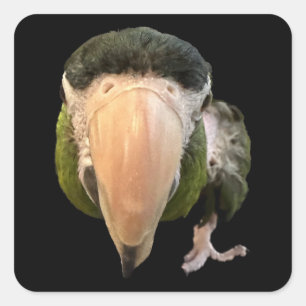 magische mikey super stickers