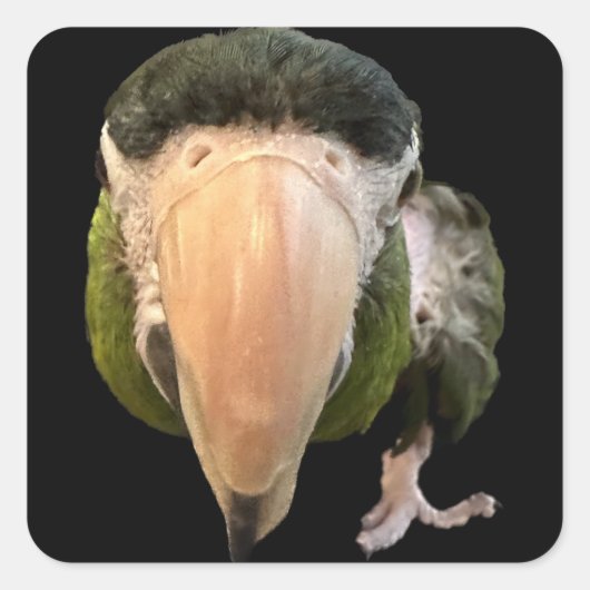 magische mikey super stickers (Voorkant)