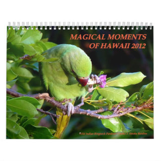 Magische momenten van Hawaï 2012 Kalender