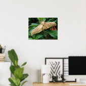 Magische Moth Print (Thuiskantoor)