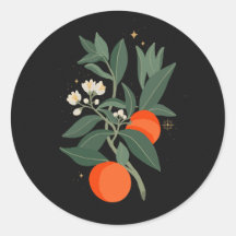 Magische oranje bijkantoren