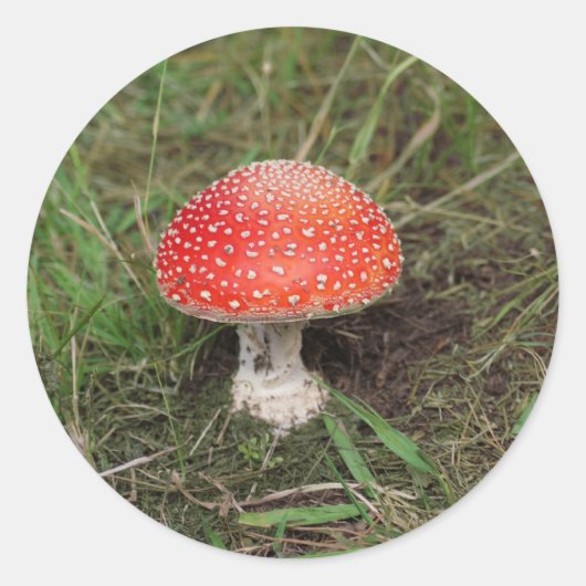 Magische paddenstoel ronde sticker (Voorkant)