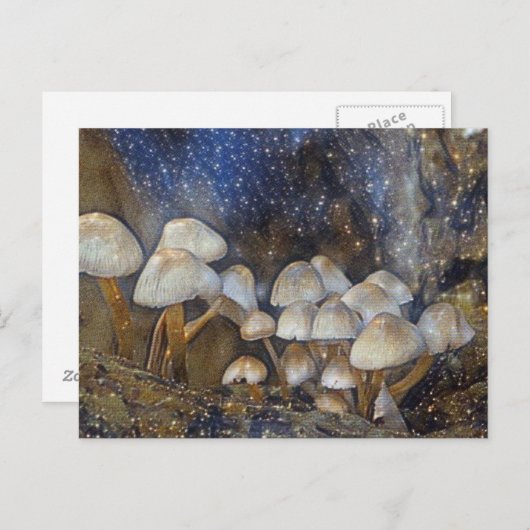 Magische paddenstoelen briefkaart (Voorkant / Achterkant)