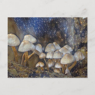 Magische paddenstoelen briefkaart
