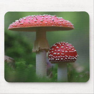 Magische paddenstoelen muismat