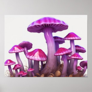 Magische paddenstoelen poster