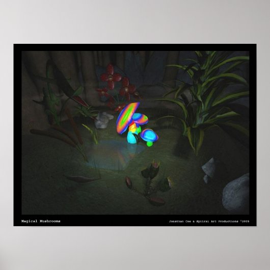 Magische paddenstoelen poster (Voorkant)