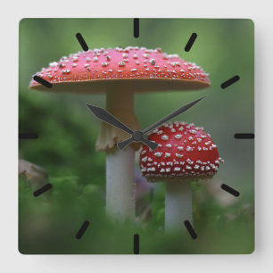 Magische paddenstoelen vierkante klok