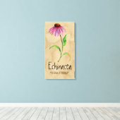 Magische Planten Echinacea 13,22 x 25,52' Canvas Afdruk (Insitu (Houten vloer))