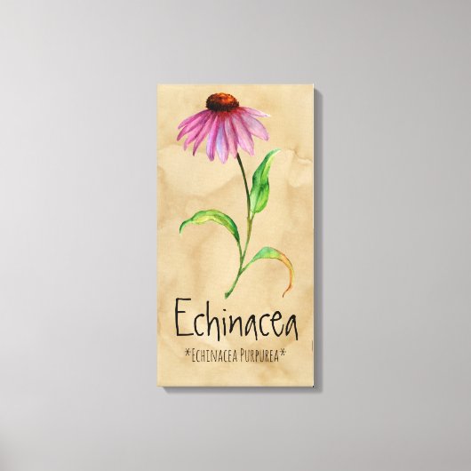 Magische Planten Echinacea 13,22 x 25,52' Canvas Afdruk (Voorkant)