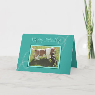 Magische Verjaardag Kaart W / Basset Hounds