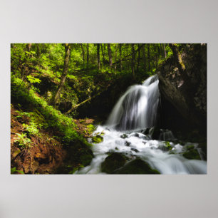 Magische waterval in betoverend groen bos poster