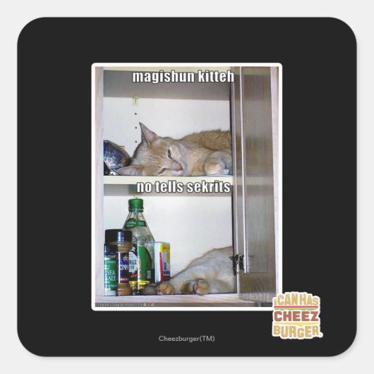 Magishun Kitteh Vierkante Sticker (Voorkant)
