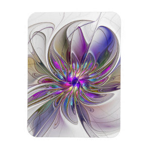 MAGNEET