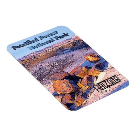  MAGNEET (Rechterzijde)