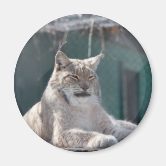 MAGNEET 09 (Voorkant)