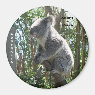 Magneet Adopteer een Koala Australia ZIZZAGO