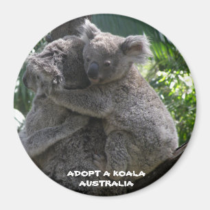 Magneet Adoptieer Een Koala Australië ZIZZAGO