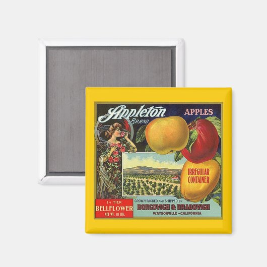 MAGNEET ~ APPLETON MERK APPELS FRUITLABEL (Voorkant / Achterkant)