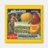 MAGNEET ~ APPLETON MERK APPELS FRUITLABEL (Voorkant)