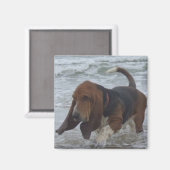 Magneet Basset Hound door het Zee (Voorkant / Achterkant)