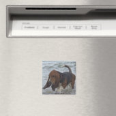 Magneet Basset Hound door het Zee (Insitu (Vaatwasser))