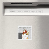 magneet: Behandelingen voor hobbes Magneet (Insitu (Vaatwasser))