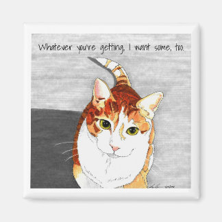 magneet: Behandelingen voor hobbes Magneet