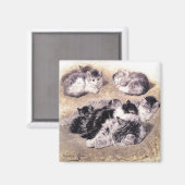 Magneet: Een studie van katten Magneet (Voorkant / Achterkant)