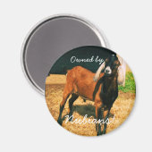 Magneet - Eigendom van Nubians! (Voorkant / Achterkant)