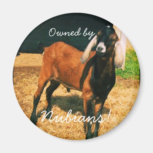 Magneet - Eigendom van Nubians! (Voorkant)