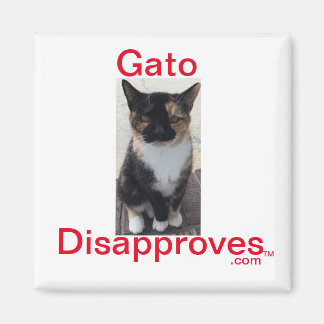 Magneet, Gato keurt af Magneet