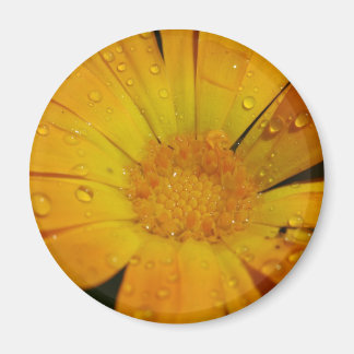 Magneet - Gele bloem met waterdruppels