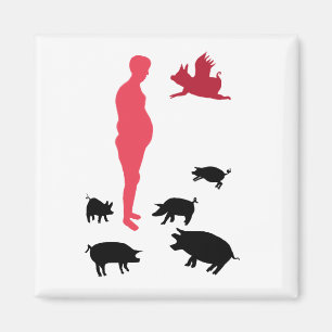 Magneet Happy Meal Vegeterian