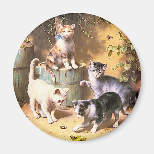 Magneet: "Kittens spelen met kevers" Magneet (Voorkant)