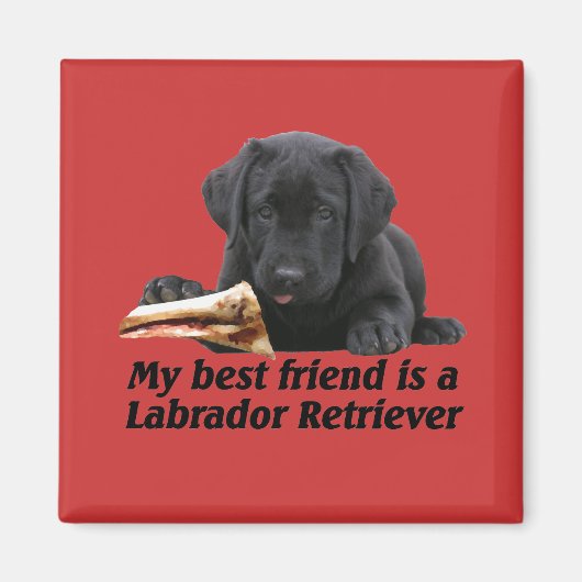 Magneet "Labrador Retriever" (Voorkant)