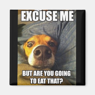 MAGNEET MET GEZEGDEN