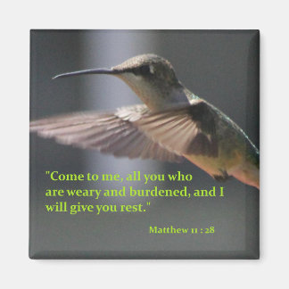 Magneet met kolibrie - geef je rust