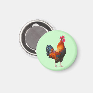 Magneet met kraaiende haan